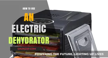 Mastering Electric Dehydrators: Tips for Perfectly Dried Foods at Home
