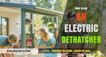 Master Electric Dethatching: Revitalize Your Lawn with Expert Techniques