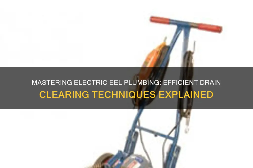 how to use an electric eel plumbing