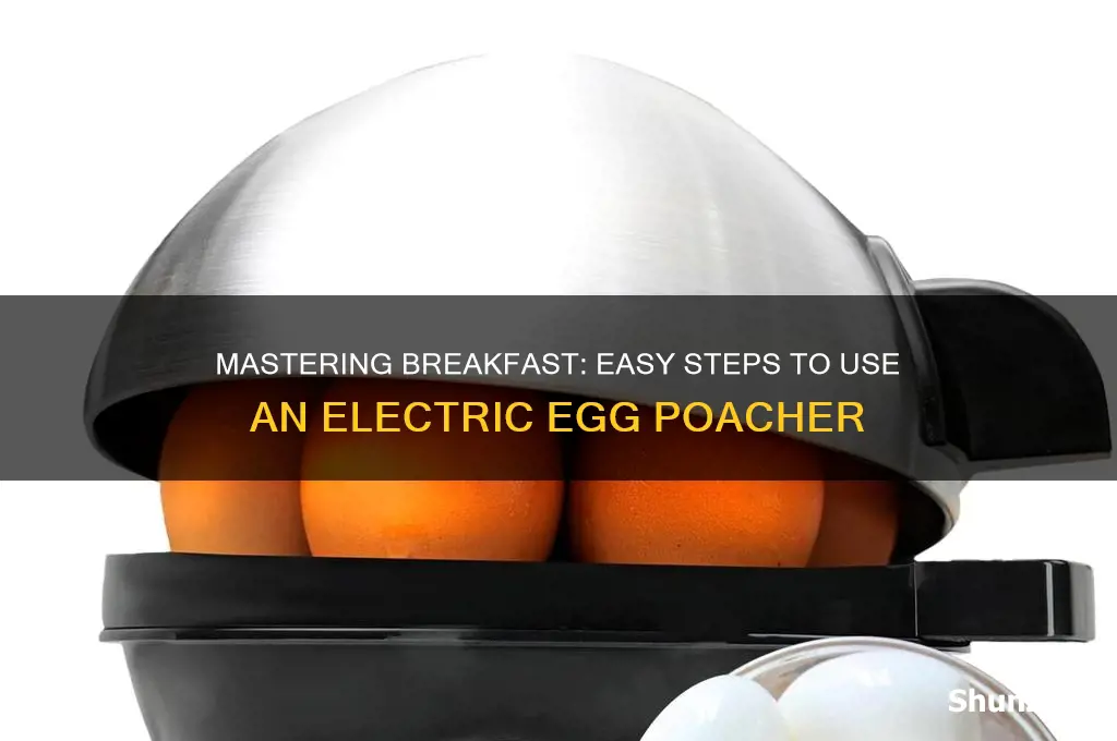 how to use an electric egg poacher