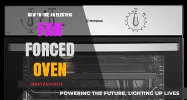 Mastering Your Electric Fan Forced Oven: Tips for Perfect Cooking