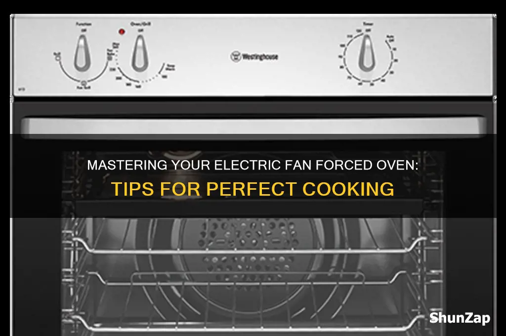 how to use an electric fan forced oven