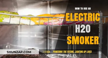 Mastering the Electric H2O Smoker: A Beginner's Guide to Perfect Smoking