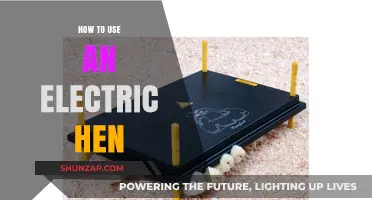 Mastering the Electric Hen: A Beginner's Guide to Efficient Usage