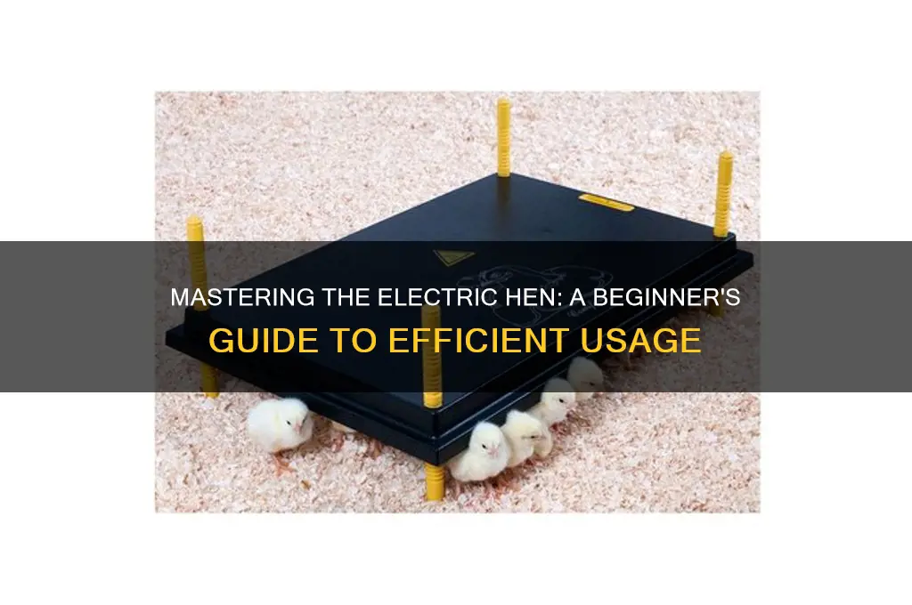 how to use an electric hen