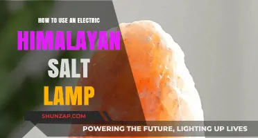 Enhance Your Space: Using an Electric Himalayan Salt Lamp Effectively