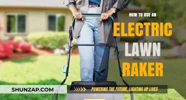 Mastering Lawn Care: A Guide to Using Electric Lawn Rakers