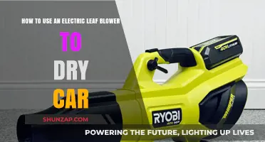 Quick Car Drying Tips: Using an Electric Leaf Blower Effectively
