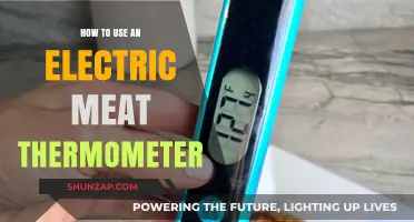 Mastering Meat Temperature: A Guide to Using Electric Thermometers
