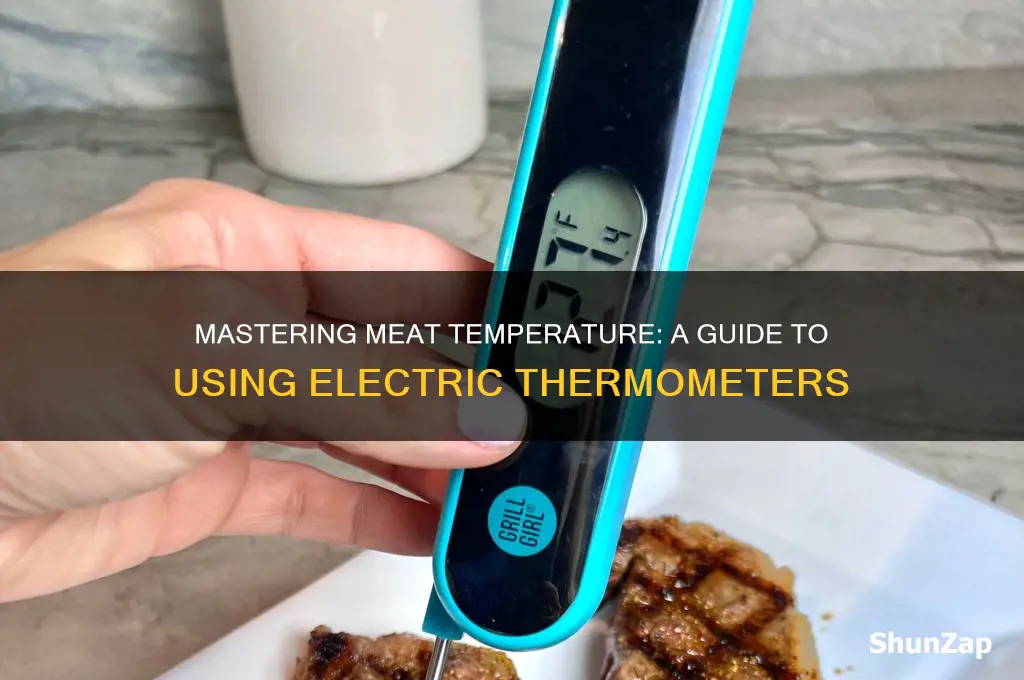 how to use an electric meat thermometer