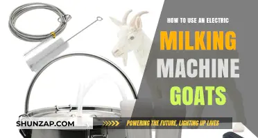 Mastering Goat Milking: A Guide to Using Electric Milking Machines