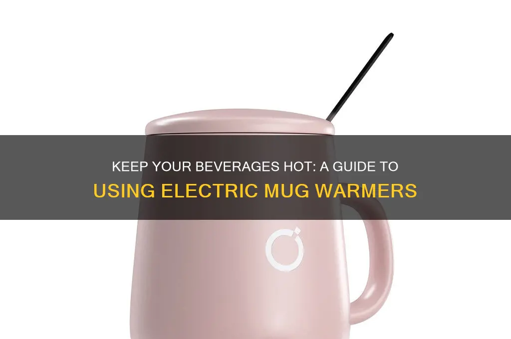 how to use an electric mug warmer