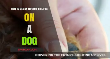 Safely Using an Electric Nail File on Your Dog: A Guide
