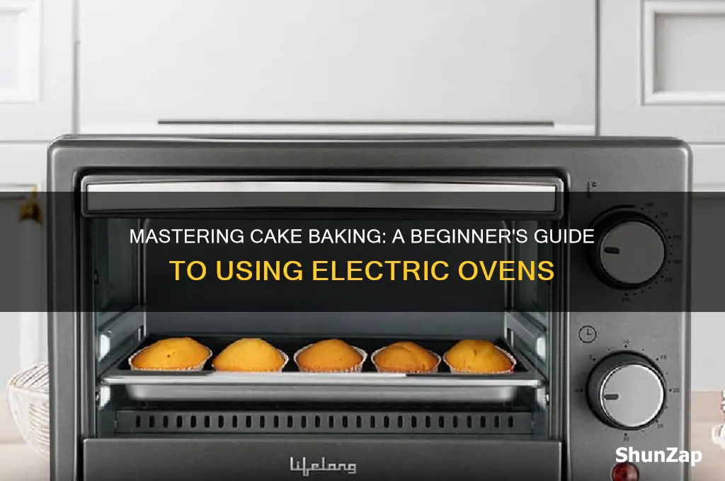 how to use an electric oven to bake a cake