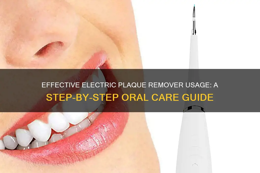 how to use an electric plaque remover
