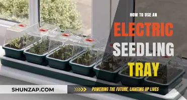 Mastering Electric Seedling Trays: A Step-by-Step Guide for Success