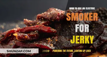 Mastering Electric Smoker Techniques for Perfect Homemade Jerky