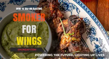 Mastering Electric Smoker Techniques for Perfectly Smoked Chicken Wings