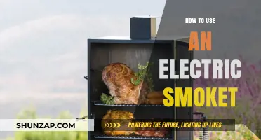 Mastering the Electric Smoker: Tips for Perfectly Smoked Meats