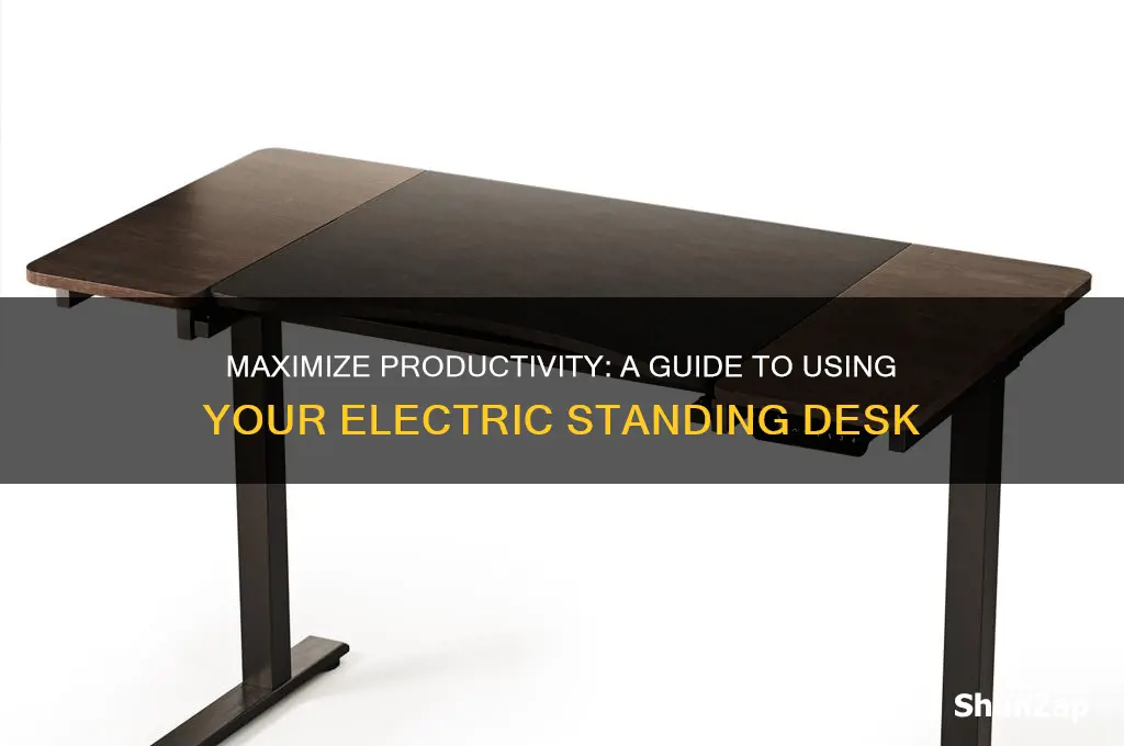how to use an electric standing desk