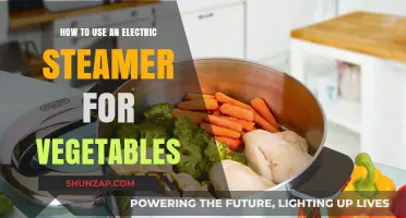 Mastering the Art of Steaming Vegetables with an Electric Steamer