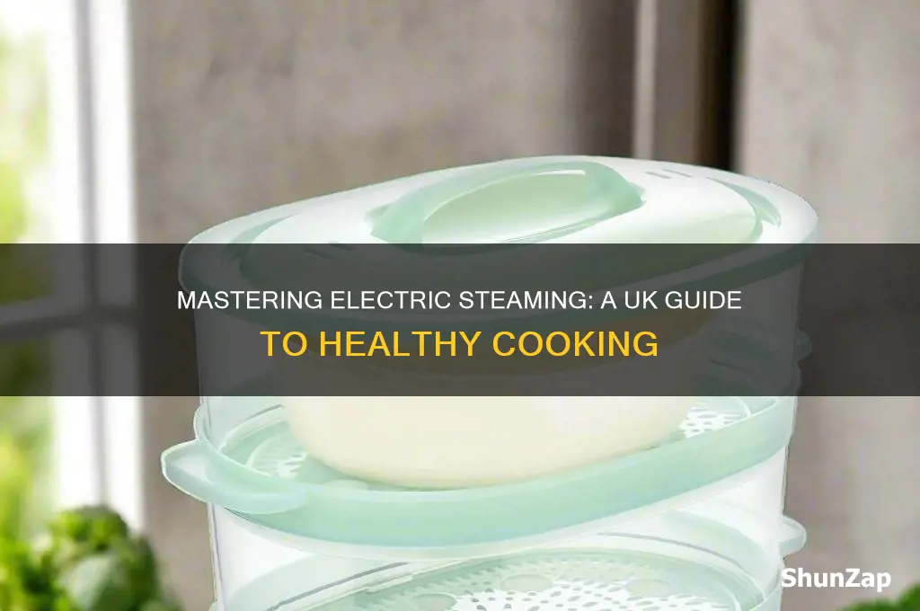 how to use an electric steamer uk