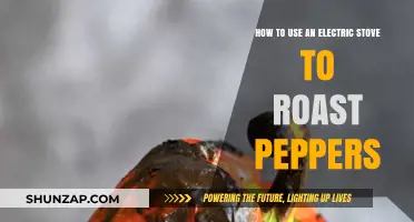 Mastering Electric Stove Roasting: Perfect Peppers Every Time
