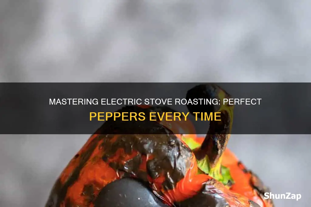 how to use an electric stove to roast peppers