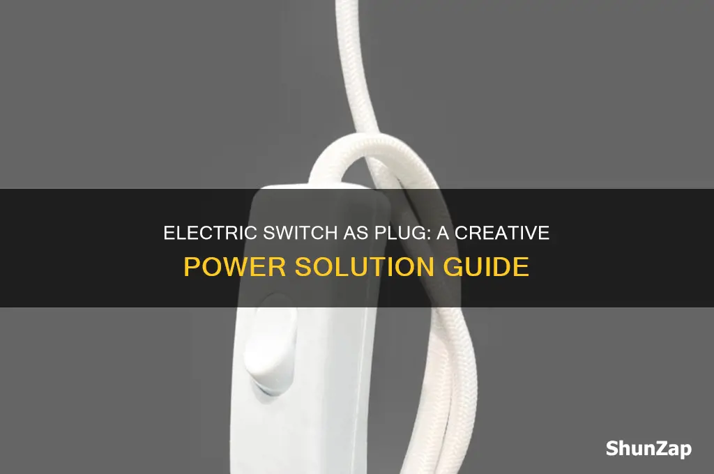how to use an electric switch as a plug