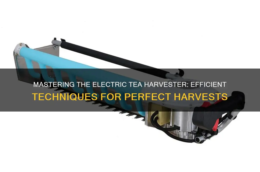 how to use an electric tea harvester