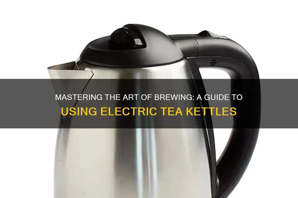 how to use an electric tea kettle