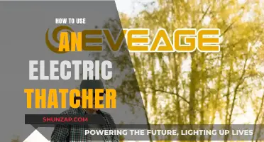 Mastering Lawn Care: A Guide to Using an Electric Thatcher