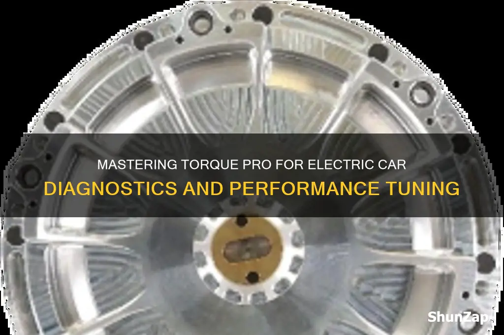 how to use torque pro on a electric car