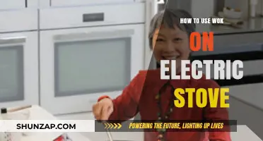 Mastering Wok Cooking on Electric Stoves: Tips and Techniques