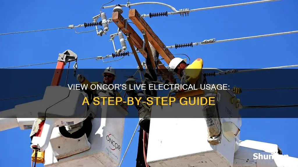 how to view oncor live electrical usage