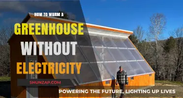 Winter Warmth: Natural Ways to Heat Your Greenhouse