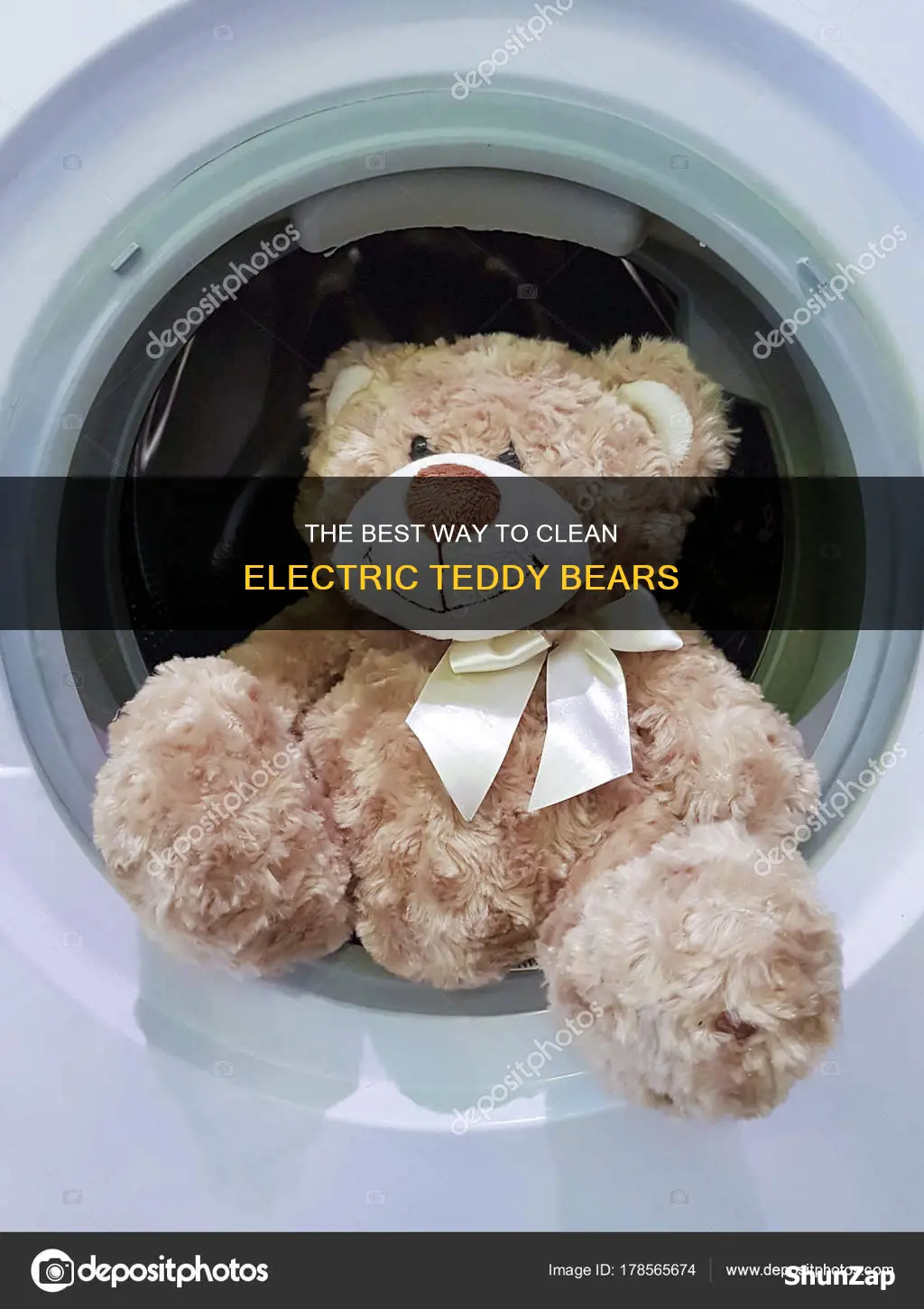 how to wash an electric teddy bear
