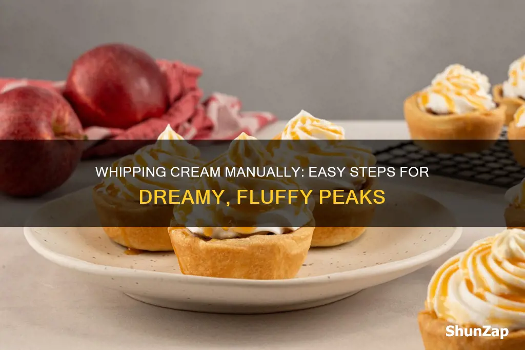 how to whip cream without electric beater