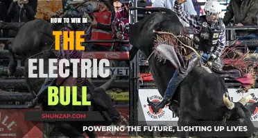 Mastering the Electric Bull: Strategies for Success