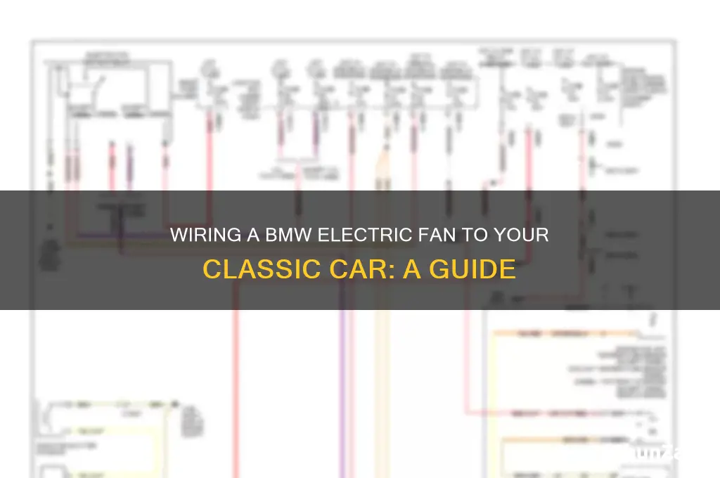 how to wire bmw electric fan to older car