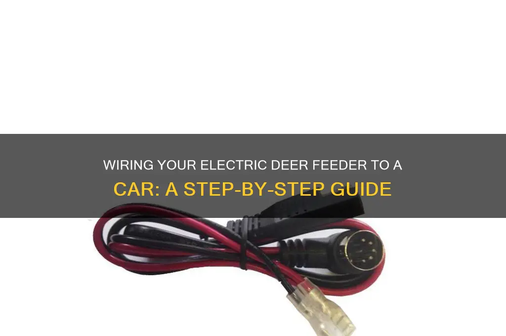 how to wire electric deer feeder to car