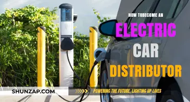 Steps to Launch Your Electric Car Distribution Business Successfully