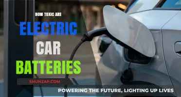 Electric Car Batteries: Uncovering Their Environmental Impact and Toxicity