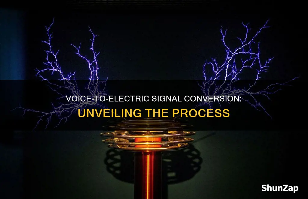 how voice is converted into electrical signal