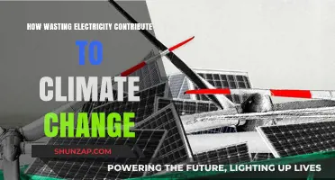Electricity Wastage: A Burning Issue for Climate Change