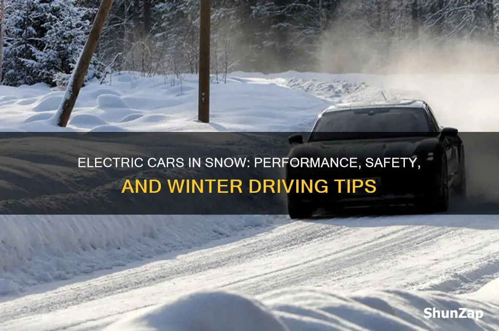 how well do electric cars do in the snow