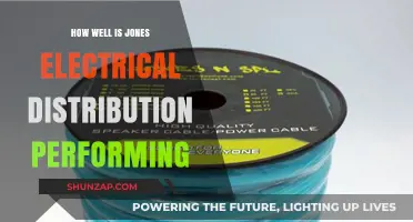 Jones Electrical Distribution: Performance Analysis and Insights