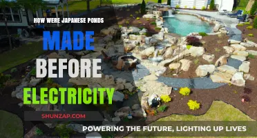 Creating Japanese Ponds: Pre-Electricity Techniques and Innovations