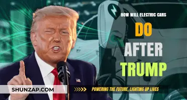 Electric Cars Post-Trump: Future Policies and Market Impact Explored