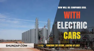 Electric Revolution: Oil Companies' Strategies in a Changing Automotive Landscape